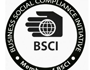 BSCI