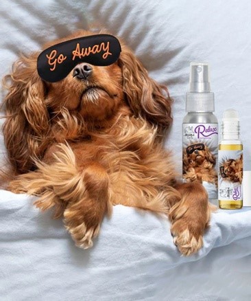 Pet-Care-Liquid-Roll-On-Bottle