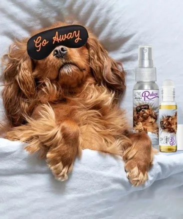 Pet-Care-Liquid-Roll-On-Bottle