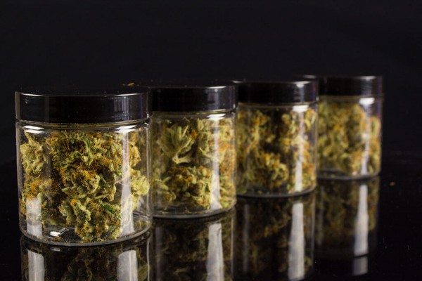 cannabis-in-jars cannabis-in-jars