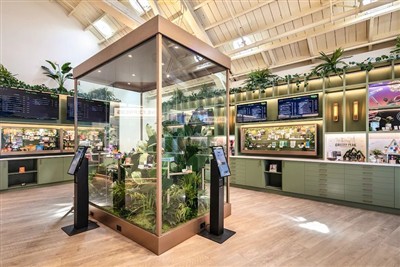 Saving The Disordered CBD Market: Clarifying Packaging Standards
