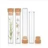 25ml Glass Pre Roll Tube With Cork
