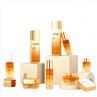30ml 100ml Square Glass Cosmetic Bottle Luxury Dropper Bottle