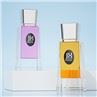Luxury Perfume Bottles Glass Colored Glass Spray Packaging