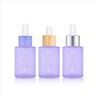 Orange 1 Oz Frosted Glass Dropper Bottles