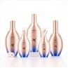 30g 50g Glass Cosmetics Jars Beautiful Skincare Packaging